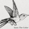 Ilustradores y músicos indies se unen por los animales Save The Colors Madrid
